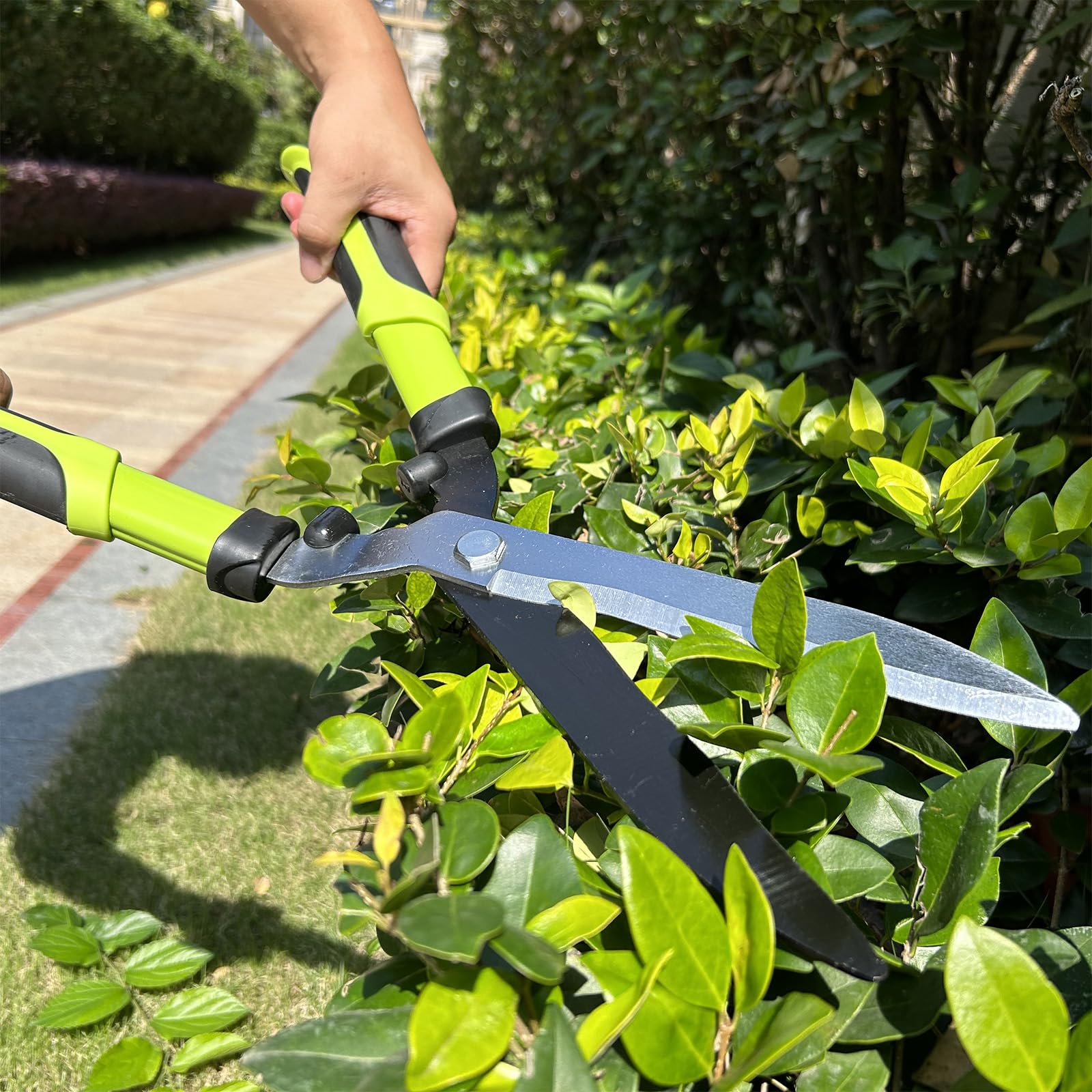 YRTSH garden scene with tools in use showing efficiency maintaining shrubs