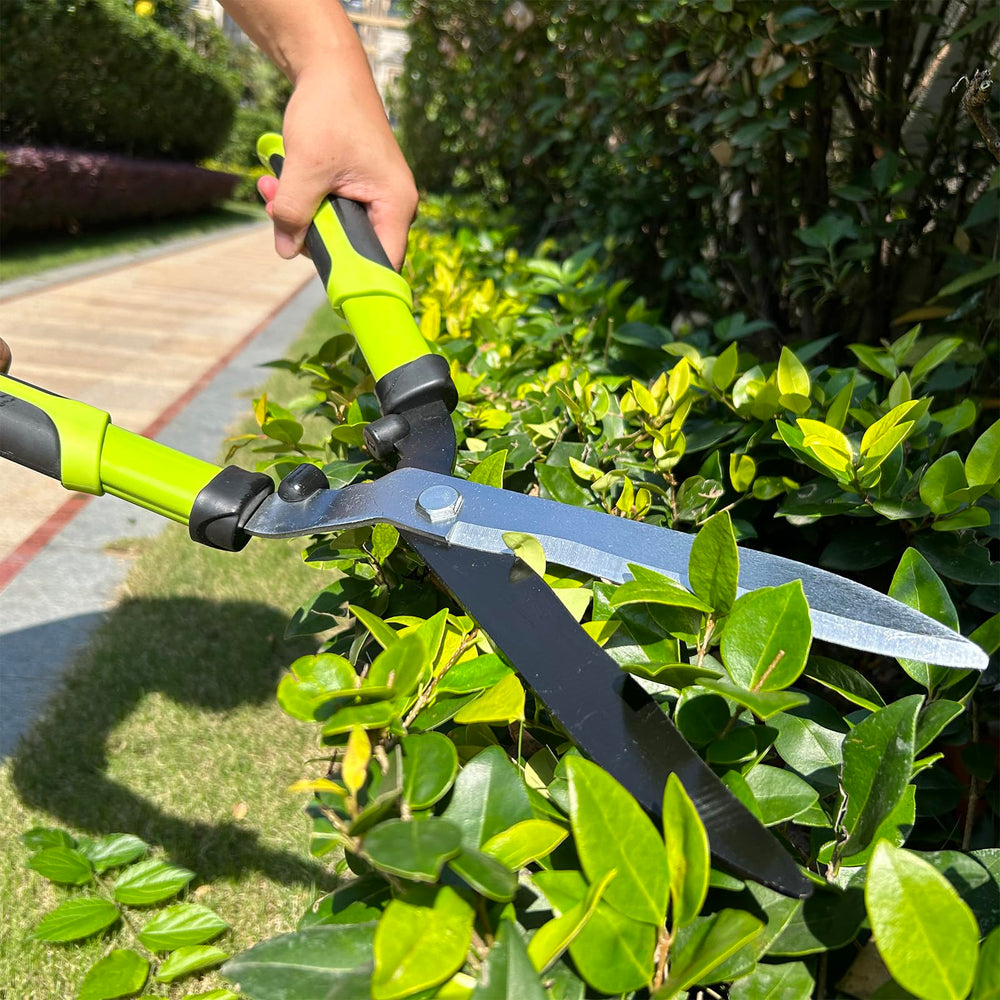 YRTSH garden scene with tools in use showing efficiency maintaining shrubs