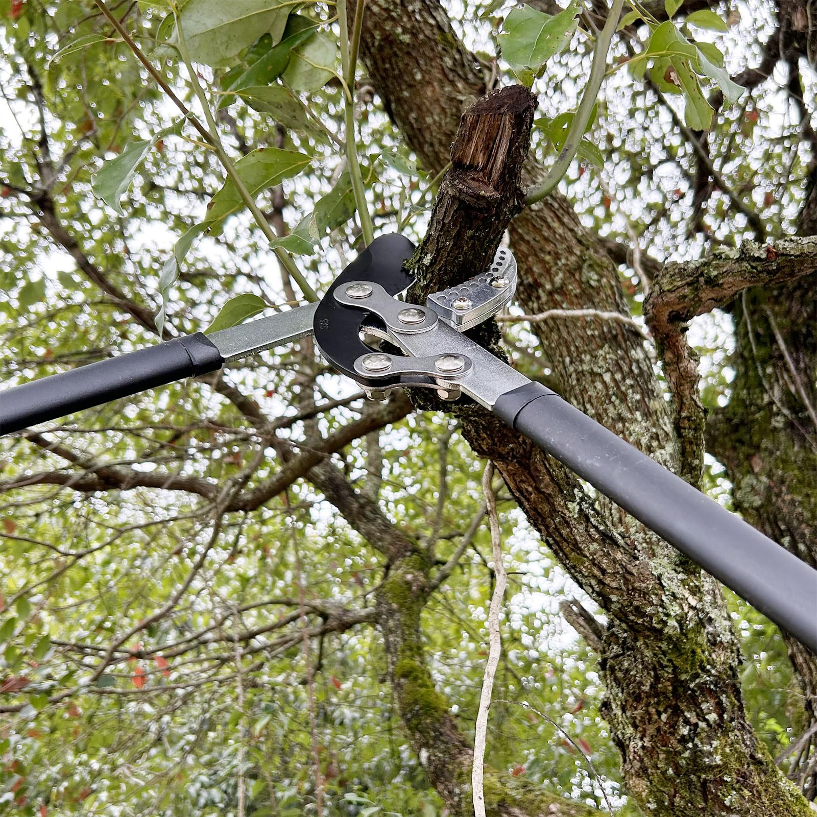 YRTSH loppers in garden setting showing practical use for landscaping