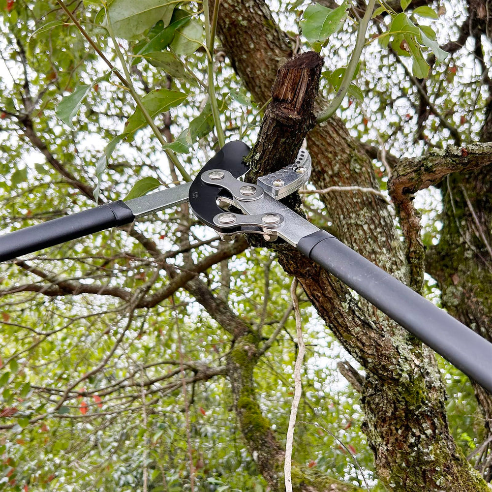 YRTSH loppers in garden setting showing practical use for landscaping