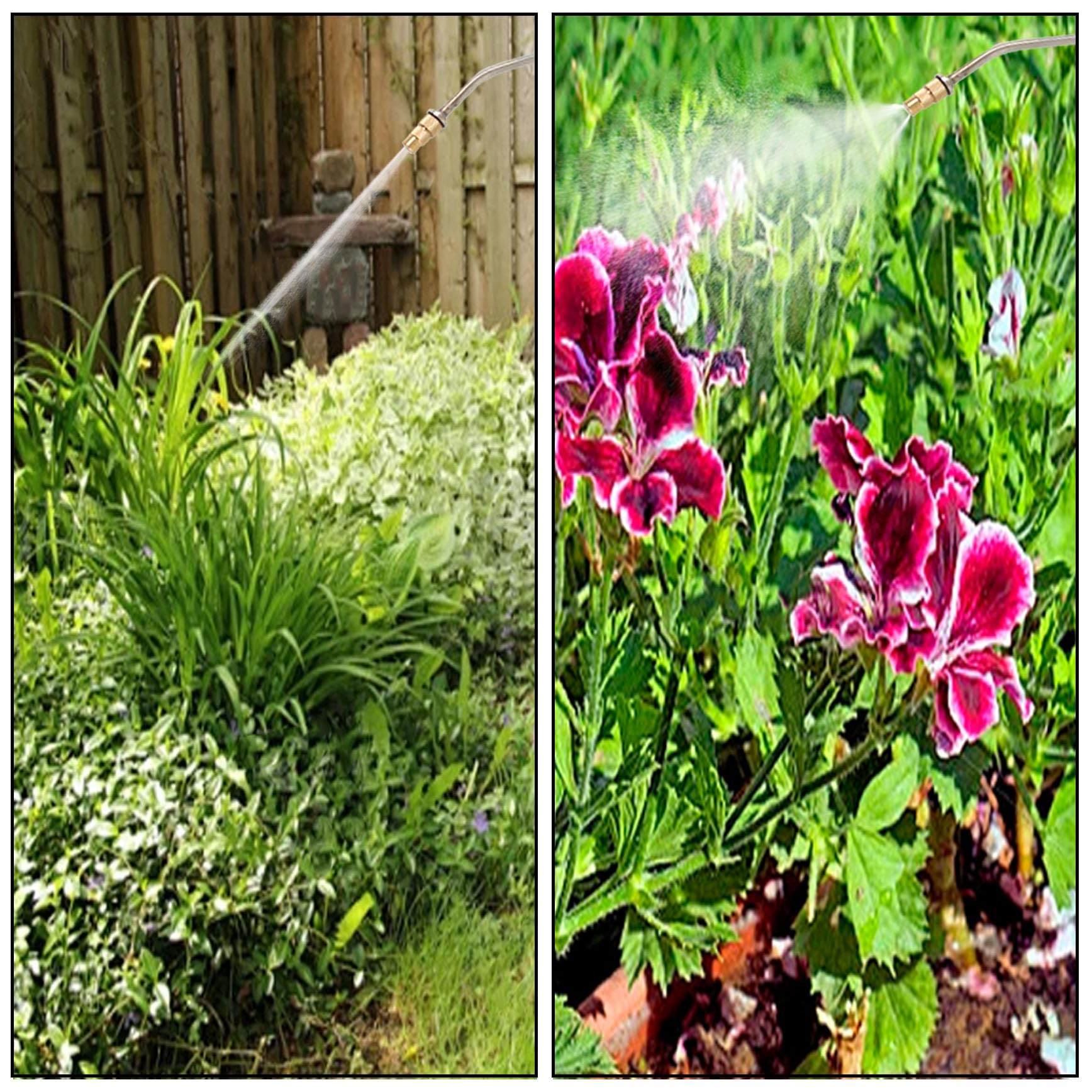 YSMN sprayer in use on garden beds demonstrating extended reach and coverage