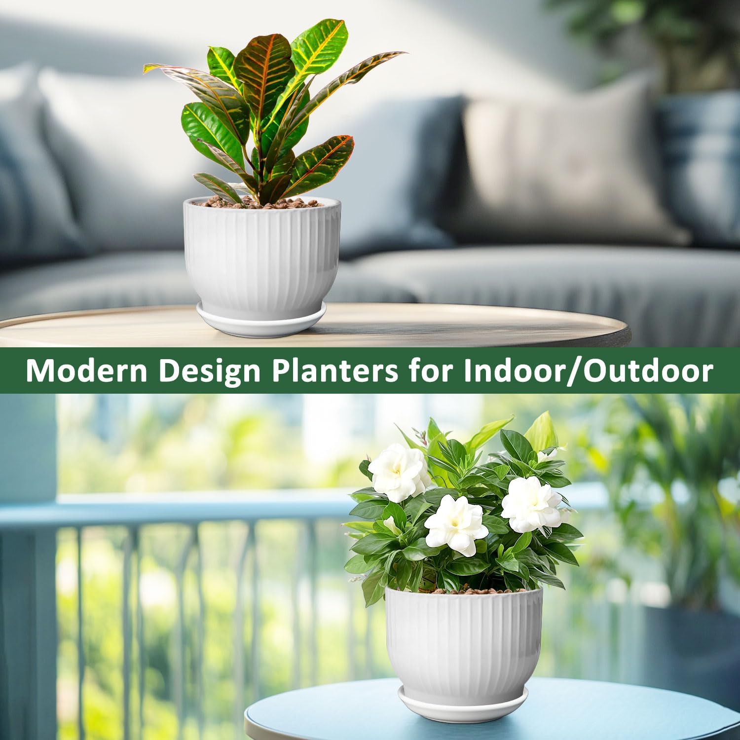 YUFDA pot with aloe in living room showcasing decorative placement and healthy display