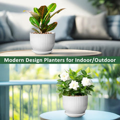 YUFDA pot with aloe in living room showcasing decorative placement and healthy display