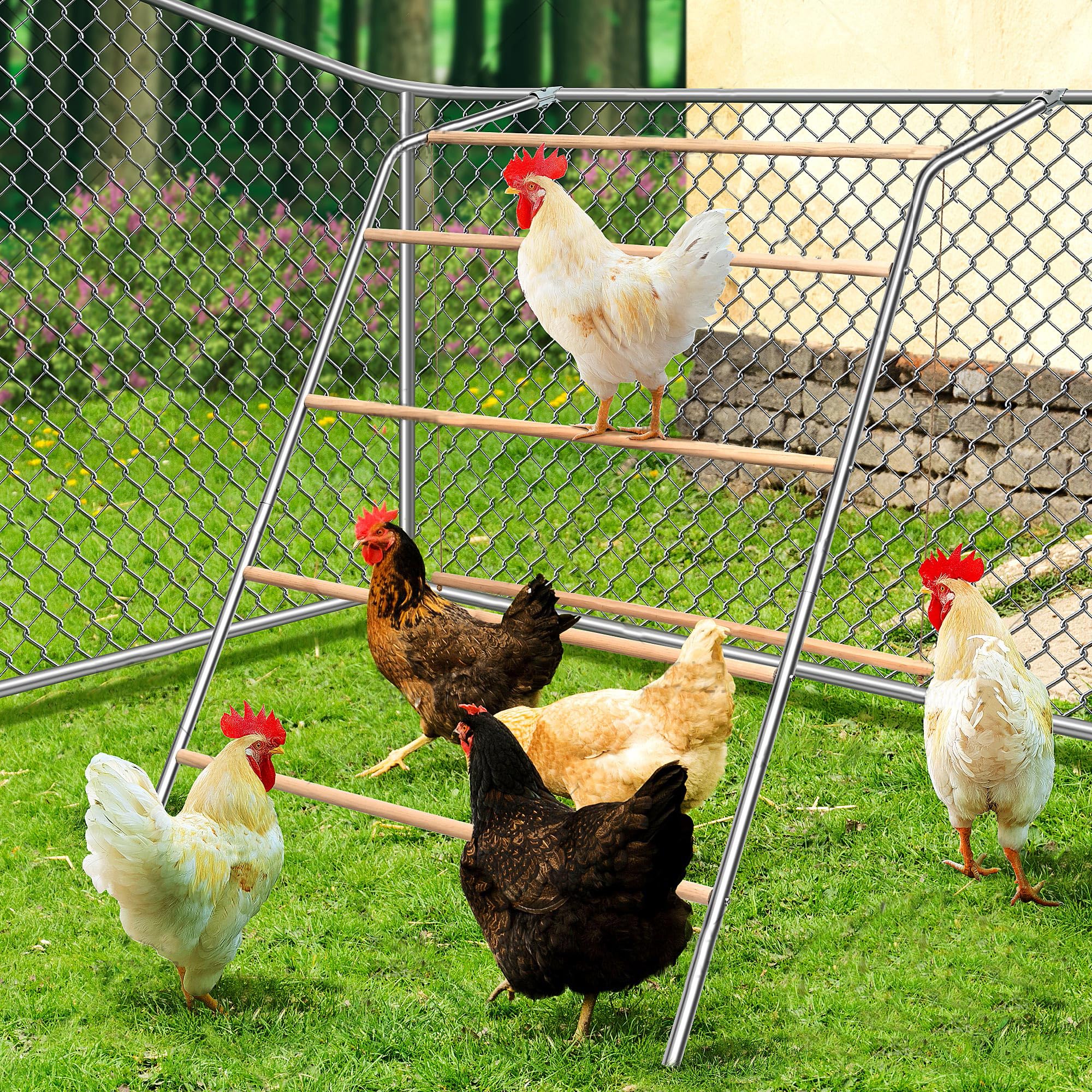 YUMEKA front view full assembly showing sturdy perch and swing for engaging hens