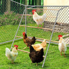 YUMEKA front view full assembly showing sturdy perch and swing for engaging hens