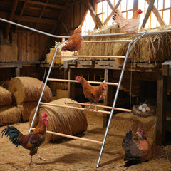 YUMEKA swing in use with hens enjoying motion for reduced boredom and stress