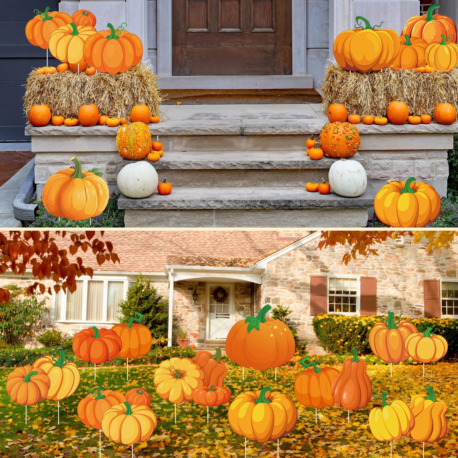 Yuntau pumpkin sign beside ruler showing 11.8 inch size for scale
