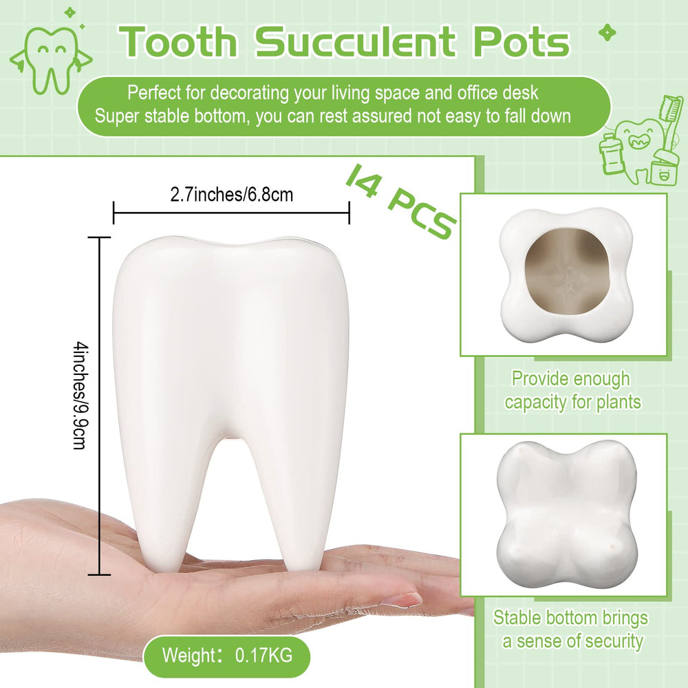 Yuxung tooth planter side profile highlighting compact footprint and placement benefit