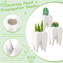 Yuxung tooth planter top view showing opening size for planting and easy styling benefit