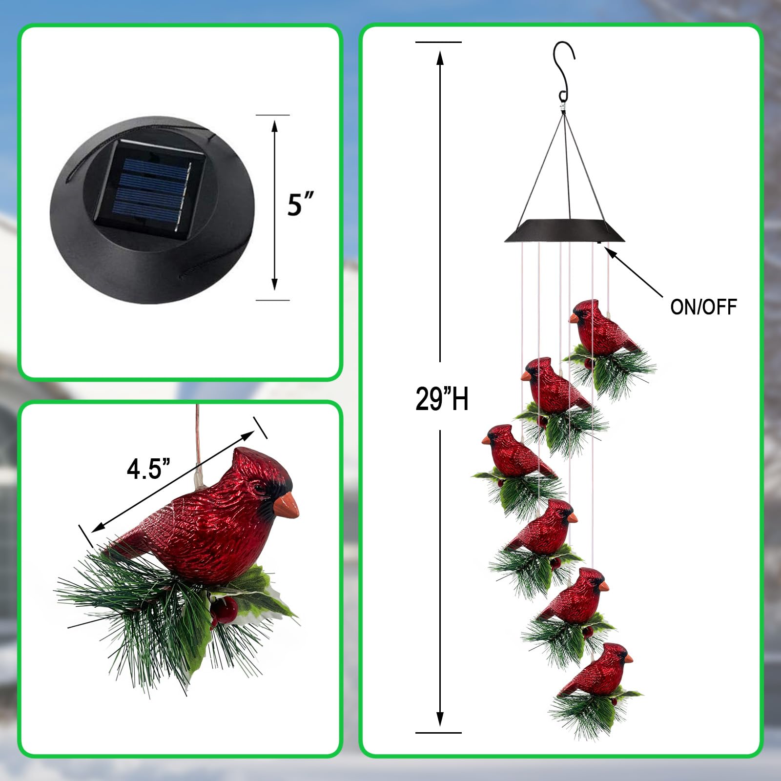 YY Gardenia next to ruler showing size for easy placement and scale in yard