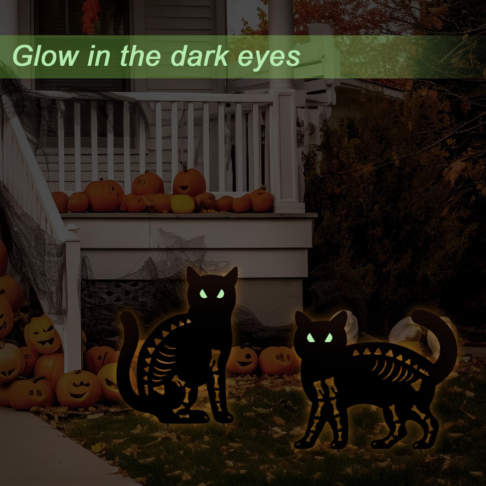 YY Gardenia glowing cat eyes at night adding eerie ambiance to a garden path