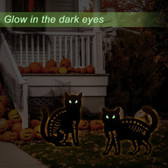 YY Gardenia glowing cat eyes at night adding eerie ambiance to a garden path
