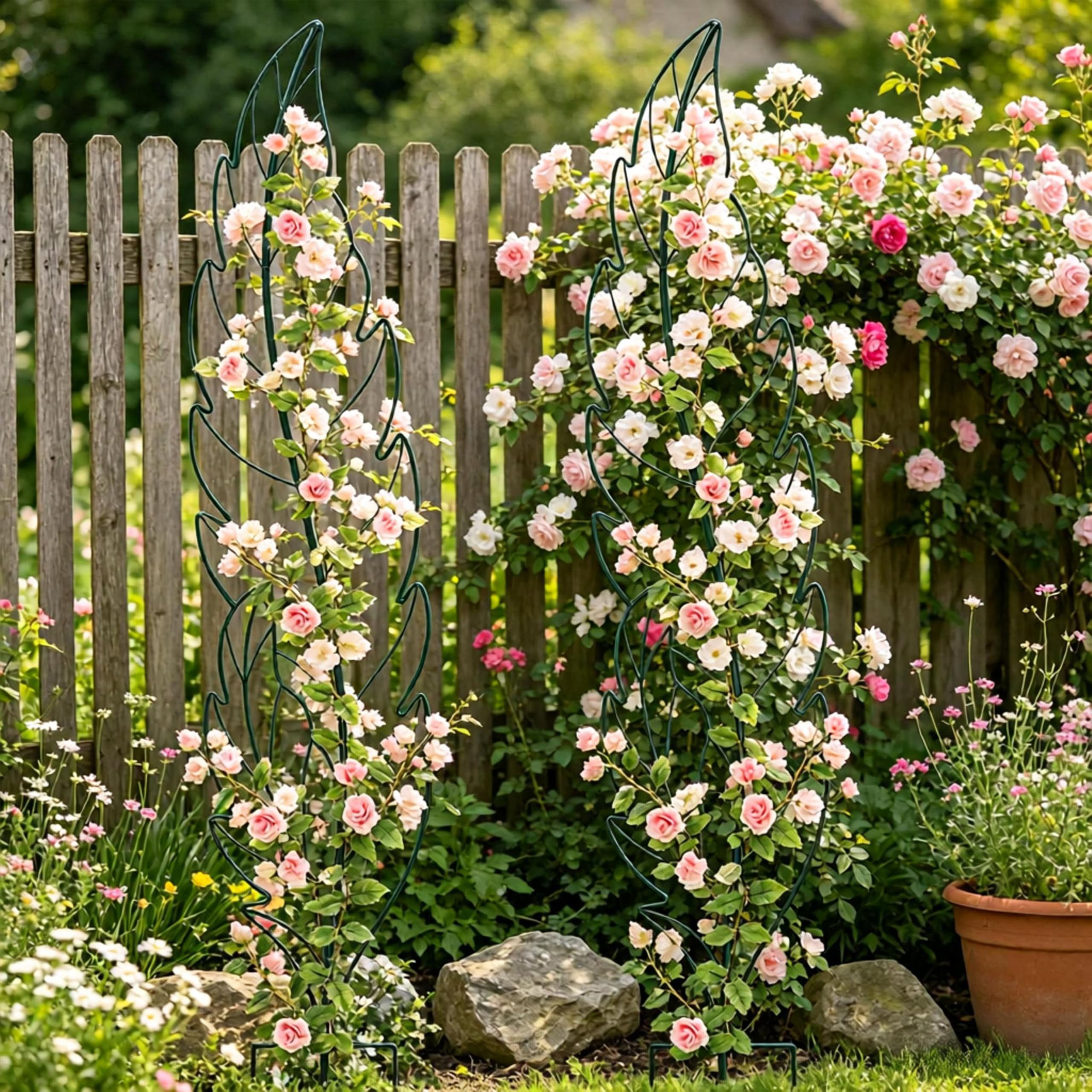 YY-Ladybug trellis in container garden supporting climbing vines for tidier growth