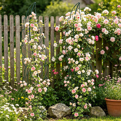 YY-Ladybug trellis in container garden supporting climbing vines for tidier growth