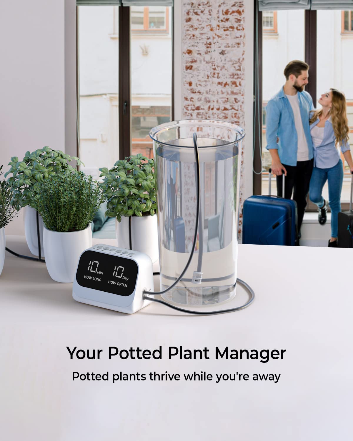 YY YITIKA drip irrigation kit in a living room setup providing consistent watering for mixed houseplants