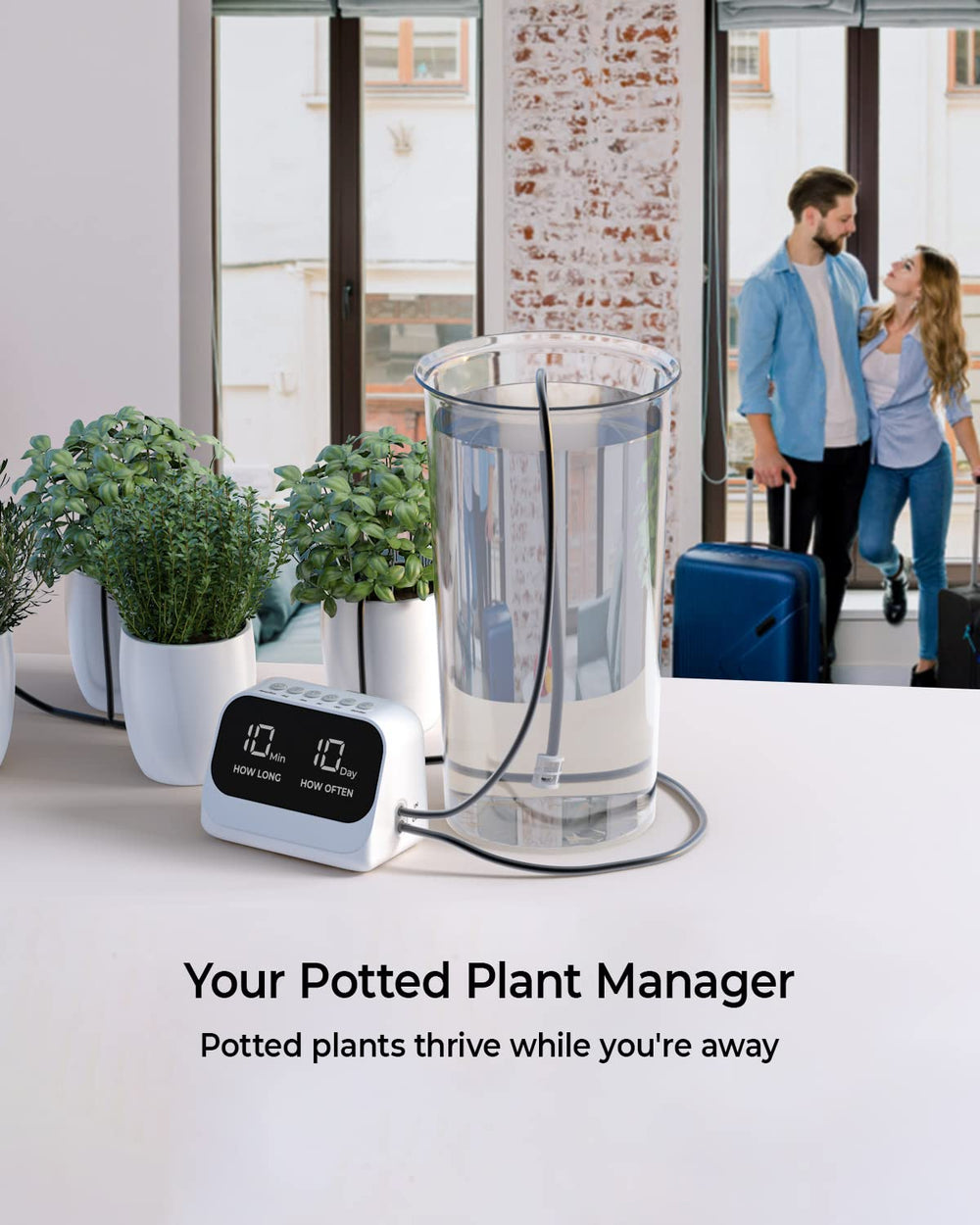 YY YITIKA drip irrigation kit in a living room setup providing consistent watering for mixed houseplants