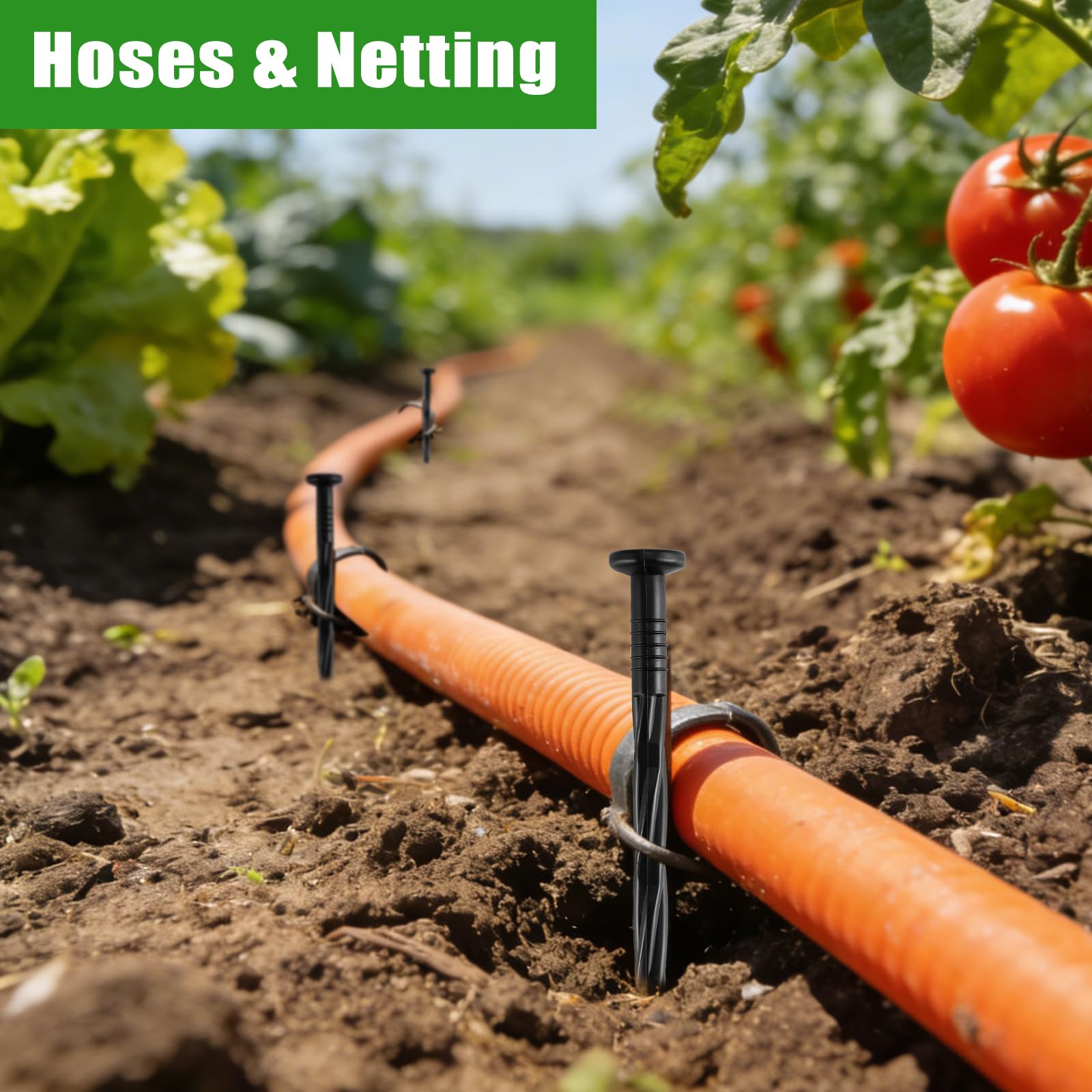 YYAYYA stakes holding edging and fabric tight for tidy borders