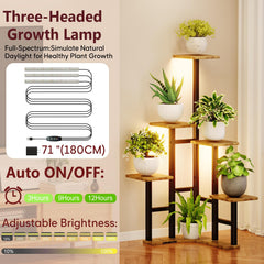 Yzosvki full setup in living room styling plants and enhancing decor