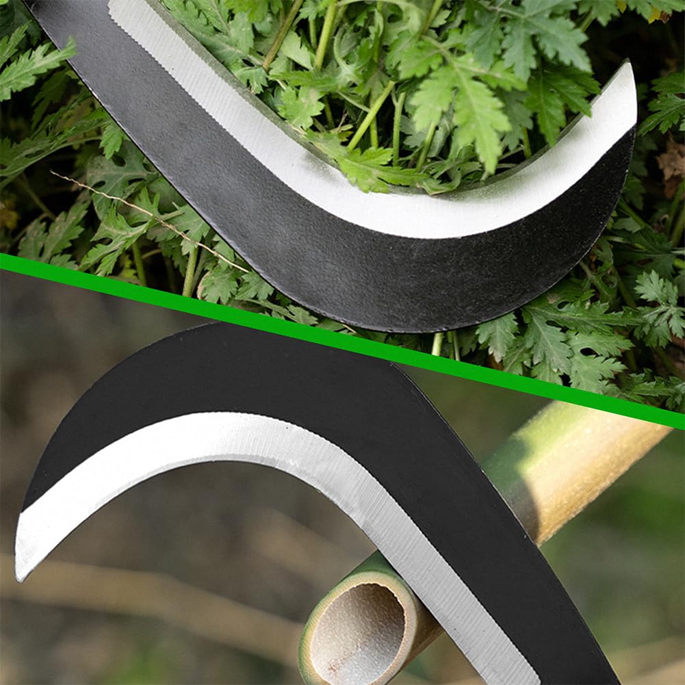 Z & G close-up of carbon steel blade edge, shows sharpness and strength