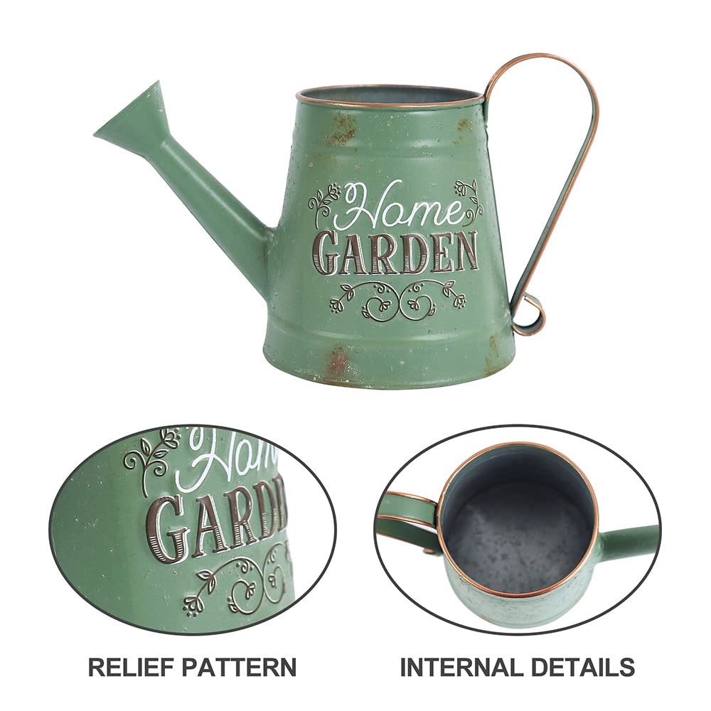 Z² BellaDecor pouring water into potted plant demonstrating gentle watering benefit