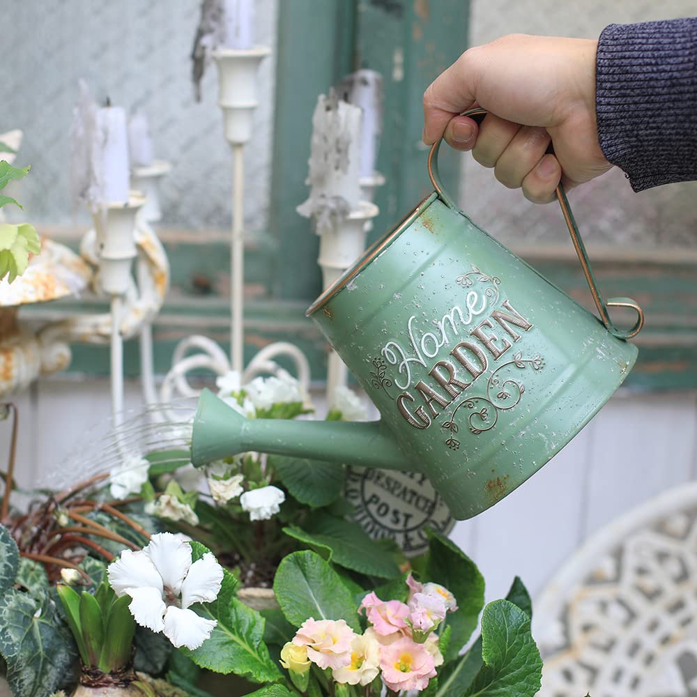 Z² BellaDecor next to a hand to show 1.5L scale for easy handling benefit
