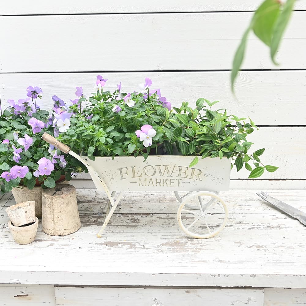 Z² BellaDecor styled on patio with flowers showing curb appeal