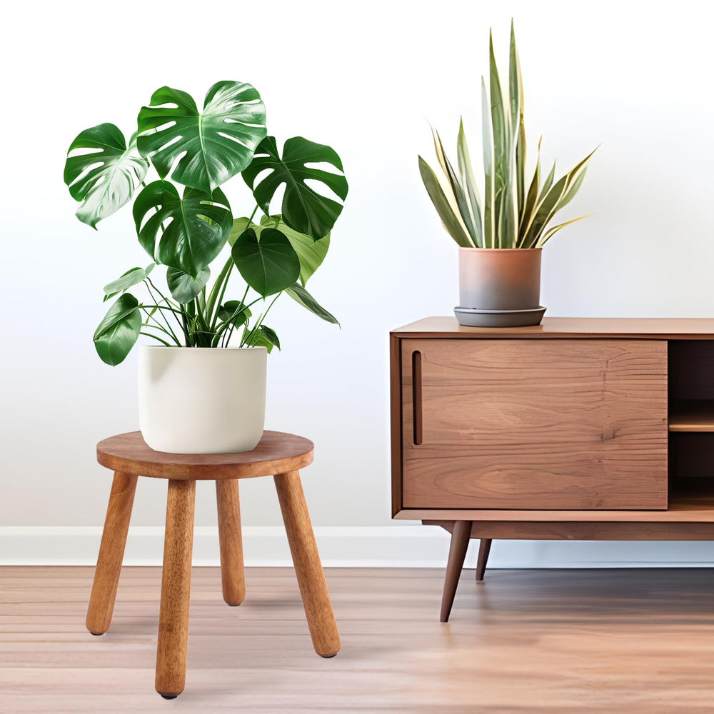 zaowofires round top close-up showing wood grain and smooth plant-based oil finish