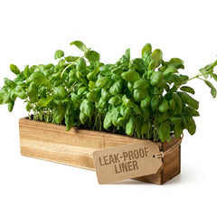 zaqro front view of two 17-inch planters showing clean profile and styling benefit