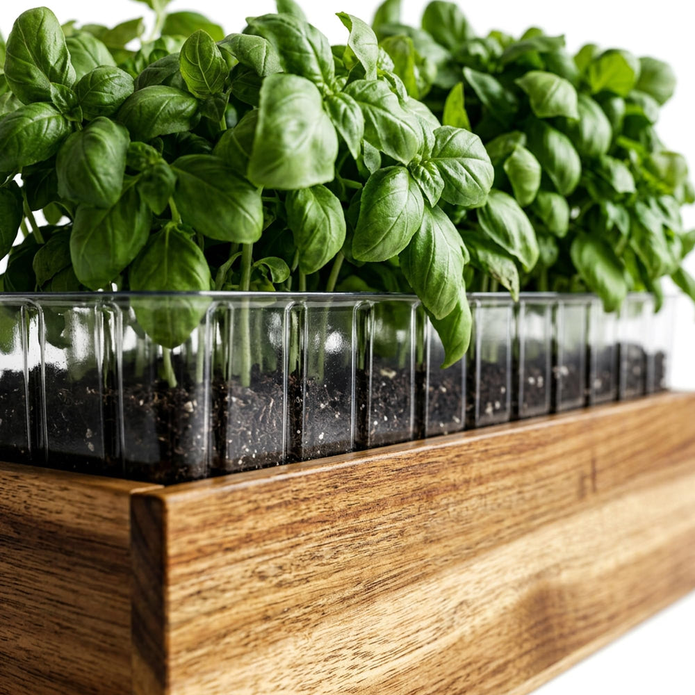 zaqro planter next to common items to show 17-inch scale and spatial fit