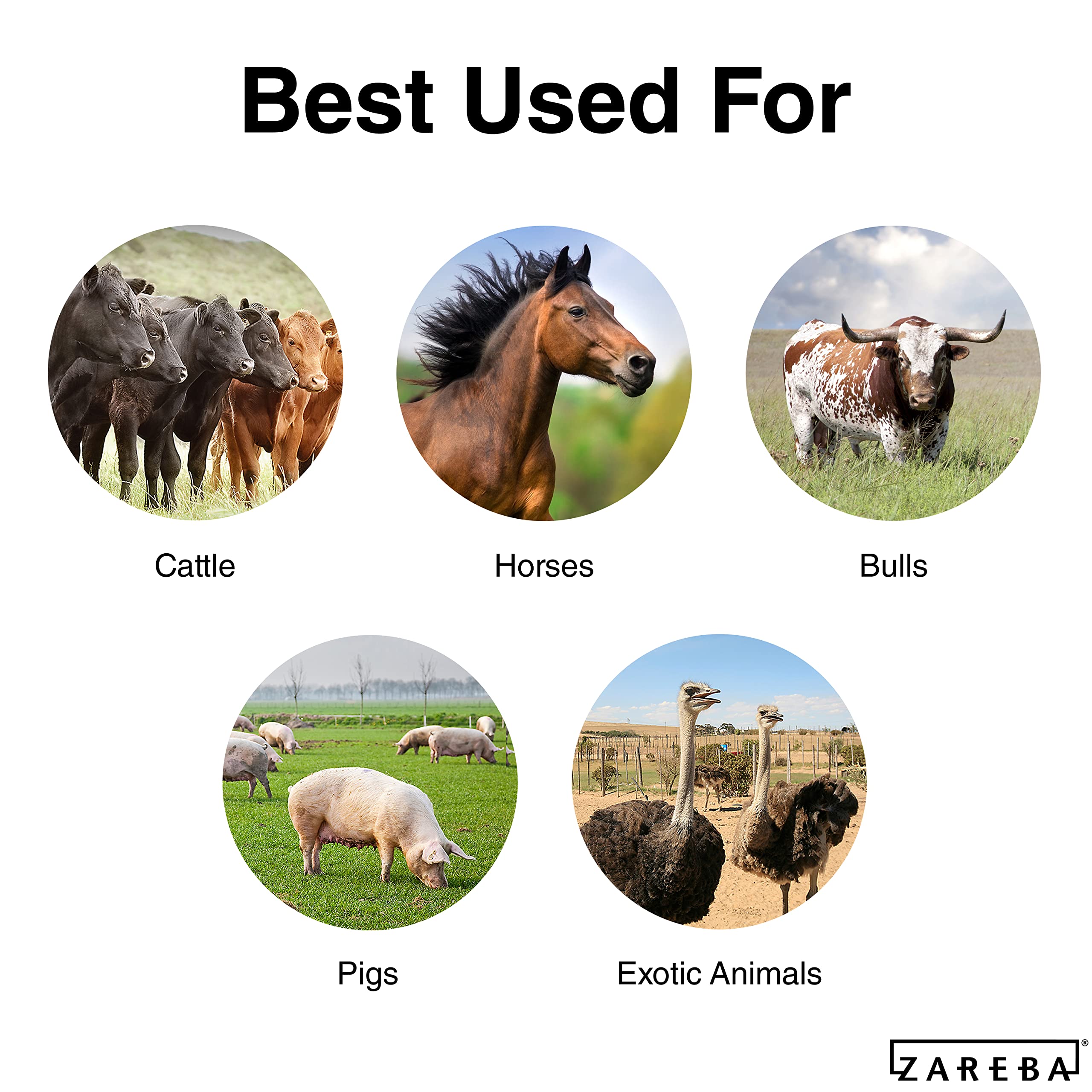 Zareba polywire in use on horse pasture showing reliable containment