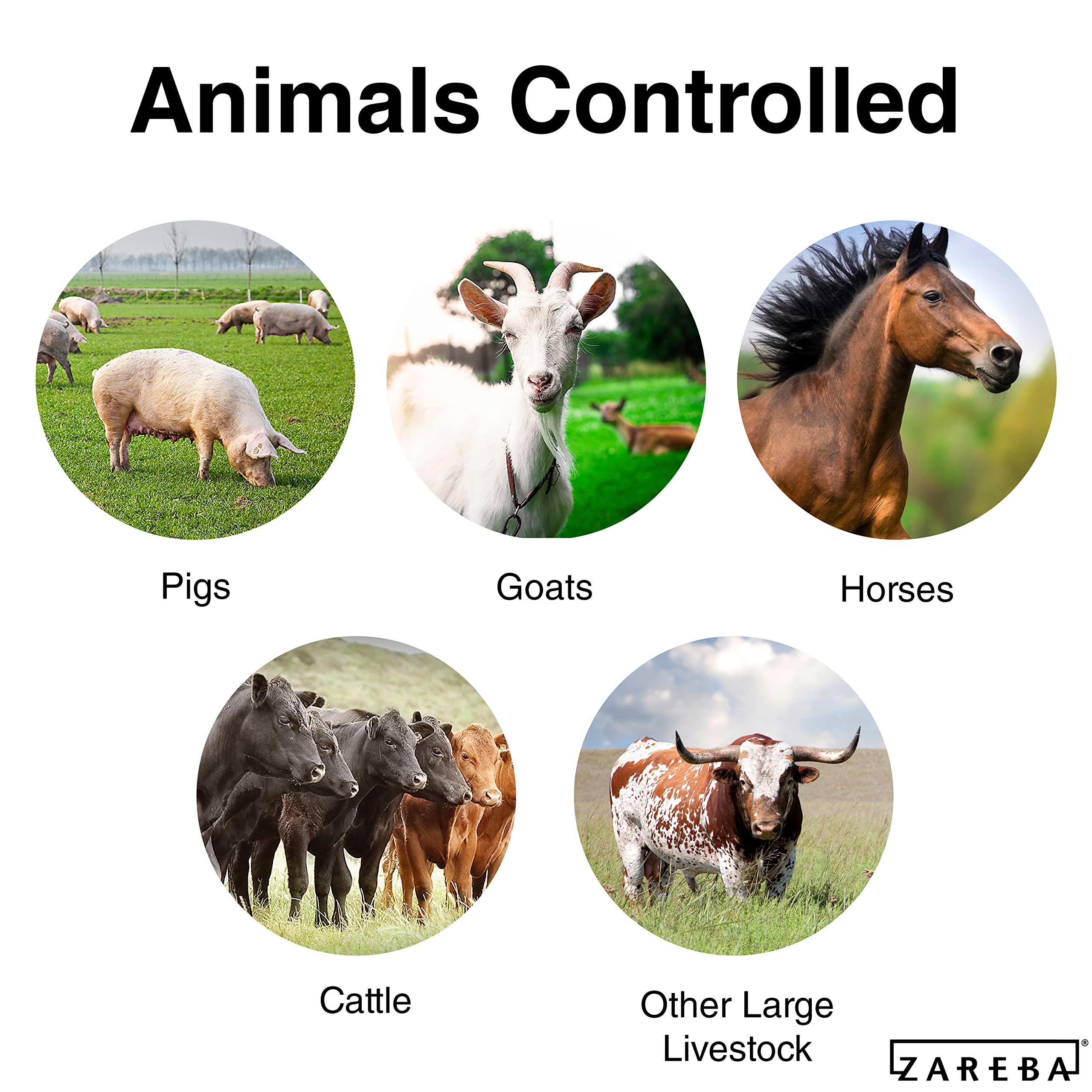 Zareba scale comparison with hands showing compact energizer size