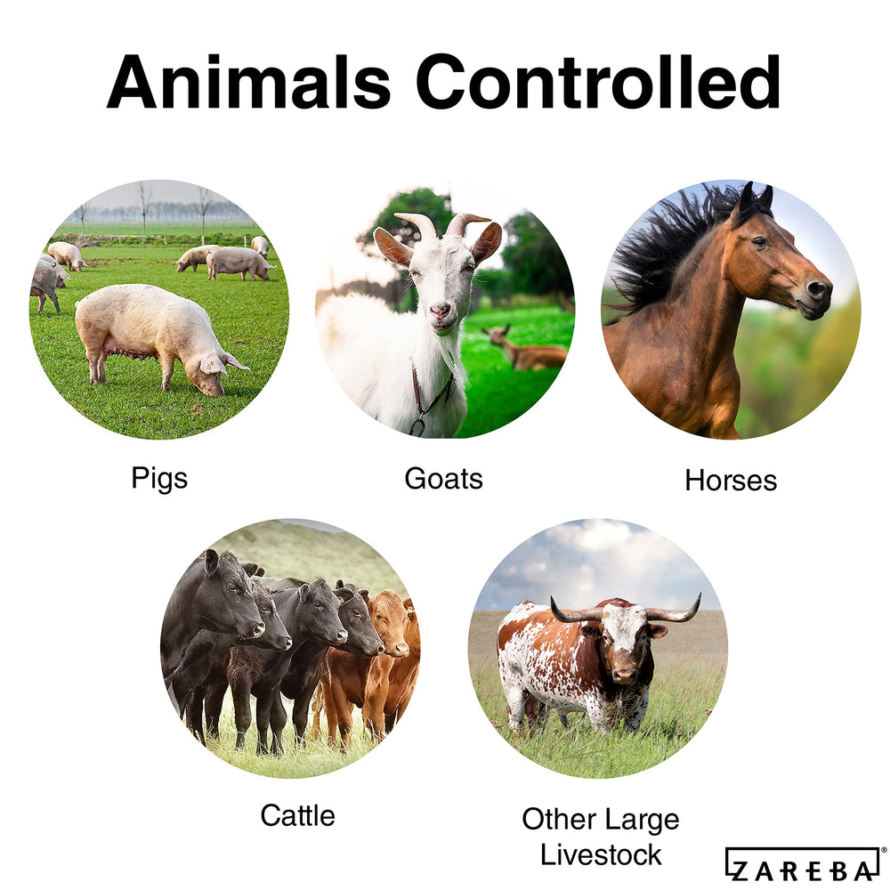 Zareba scale comparison with hands showing compact energizer size