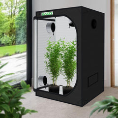 zazzy reflective interior closeup boosting light efficiency for plants