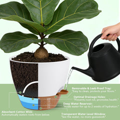 ZDZDFF removable saucer and reservoir shown for easy refilling and cleaning