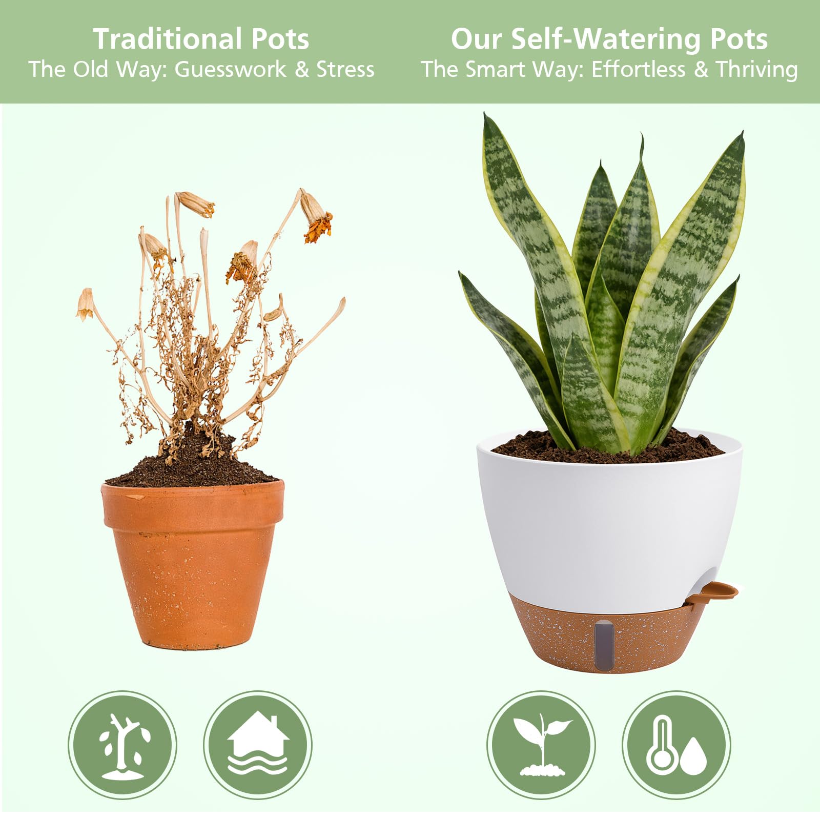 ZDZDFF size comparison of 12",10",9",8" pots to choose the right fit