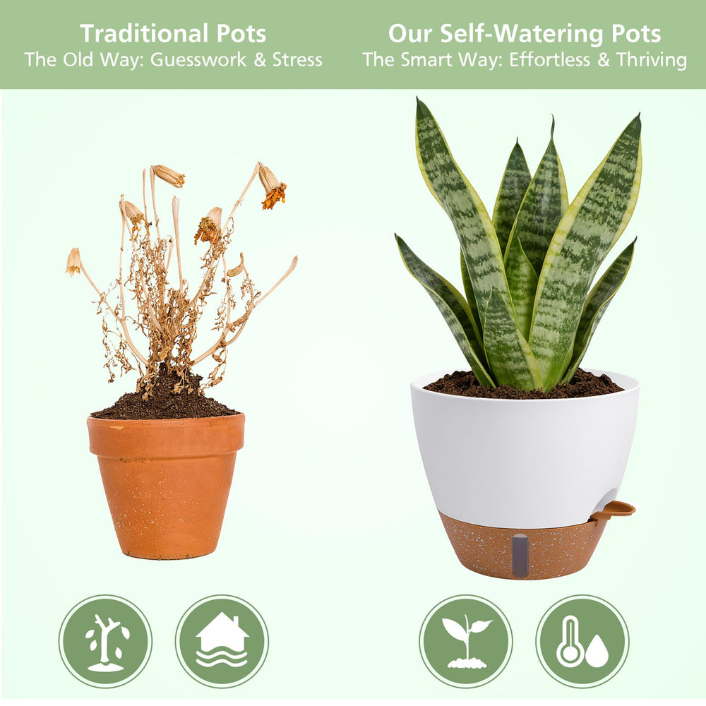 ZDZDFF size comparison of 12",10",9",8" pots to choose the right fit