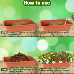 ZeeDix coir used in a plant pot improving drainage and moisture control