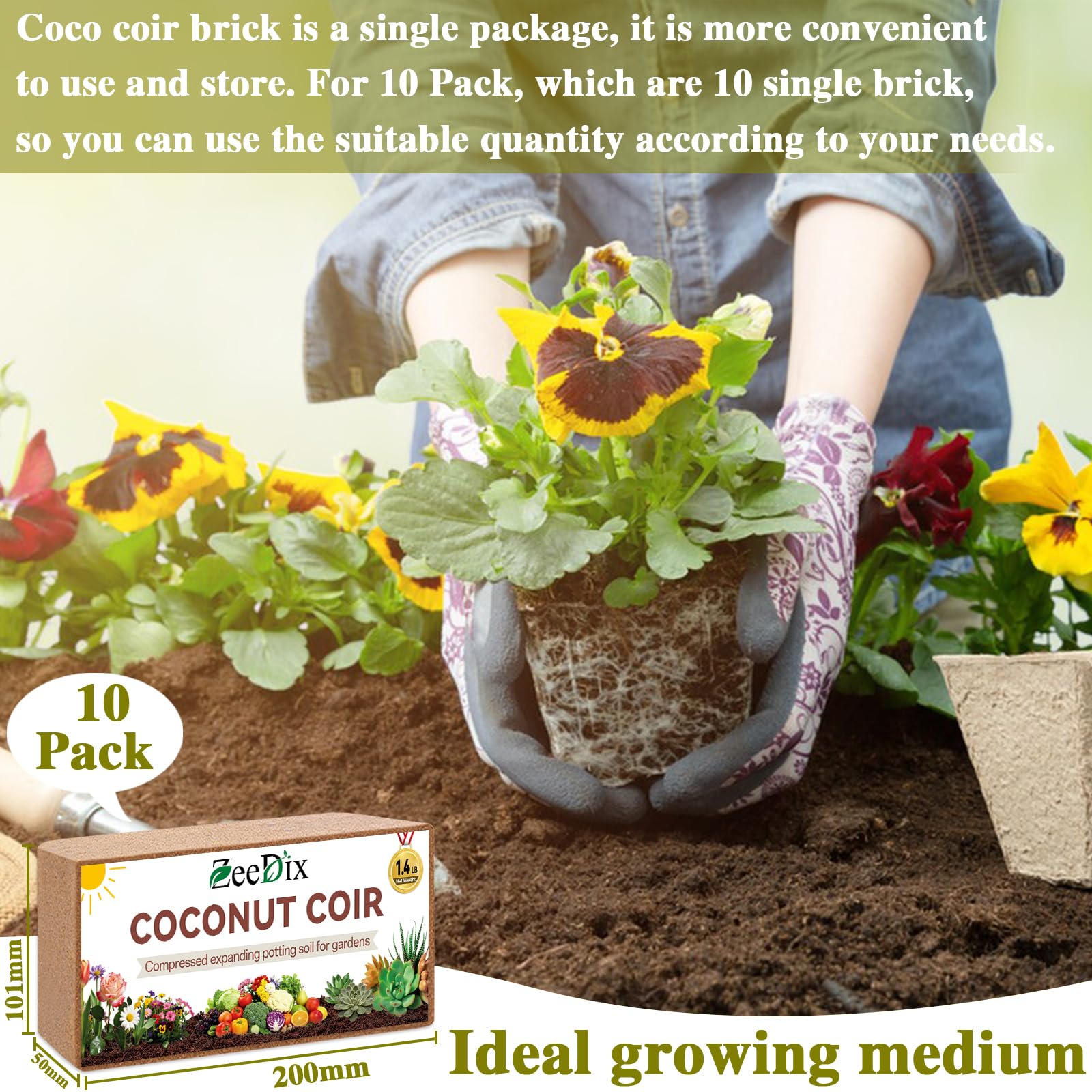 ZeeDix expanded coir in bowl demonstrating fluffy volume and water retention