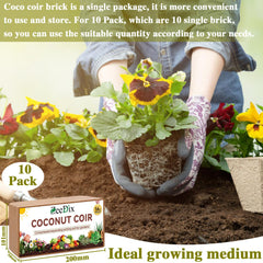 ZeeDix expanded coir in bowl demonstrating fluffy volume and water retention