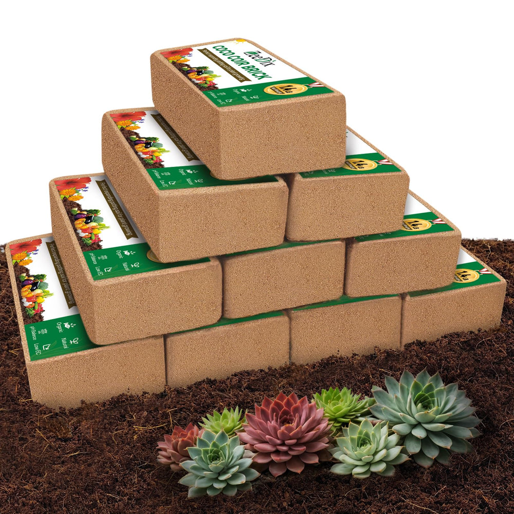 ZeeDix front packaging showing ten compact coco coir bricks and product benefits