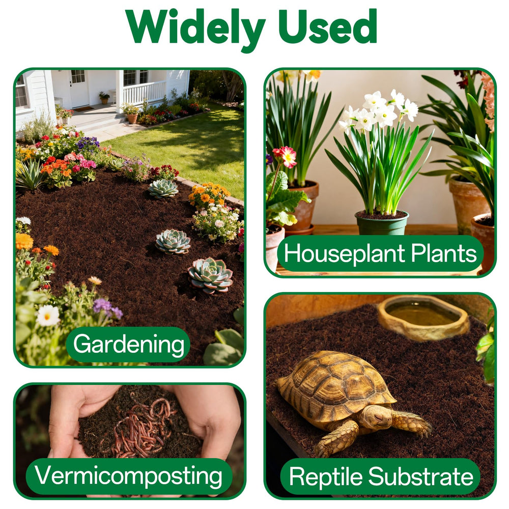 ZeeDix coco coir used as reptile substrate showing even moisture control