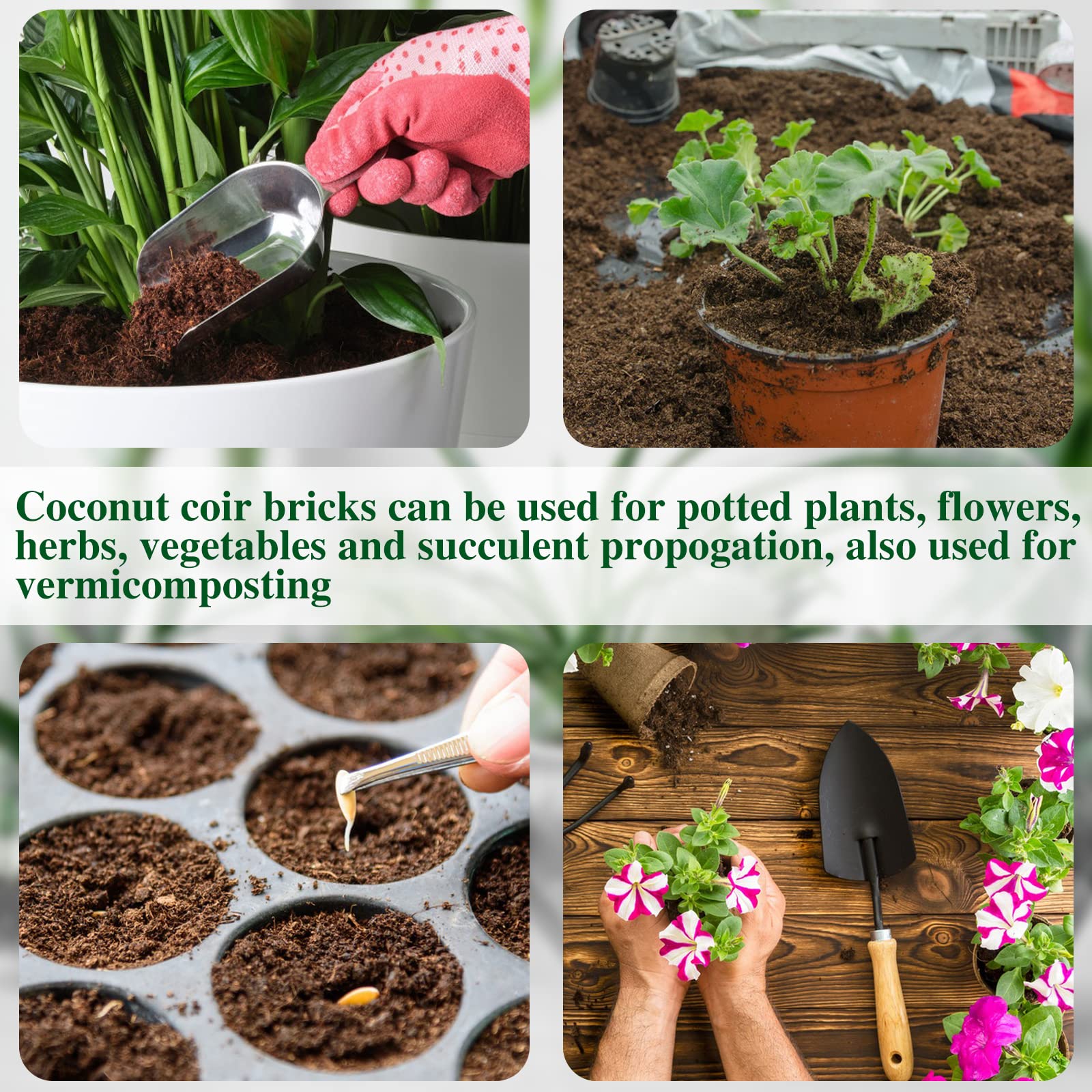 ZeeDix coir volume comparison with measuring cup to show expanded capacity