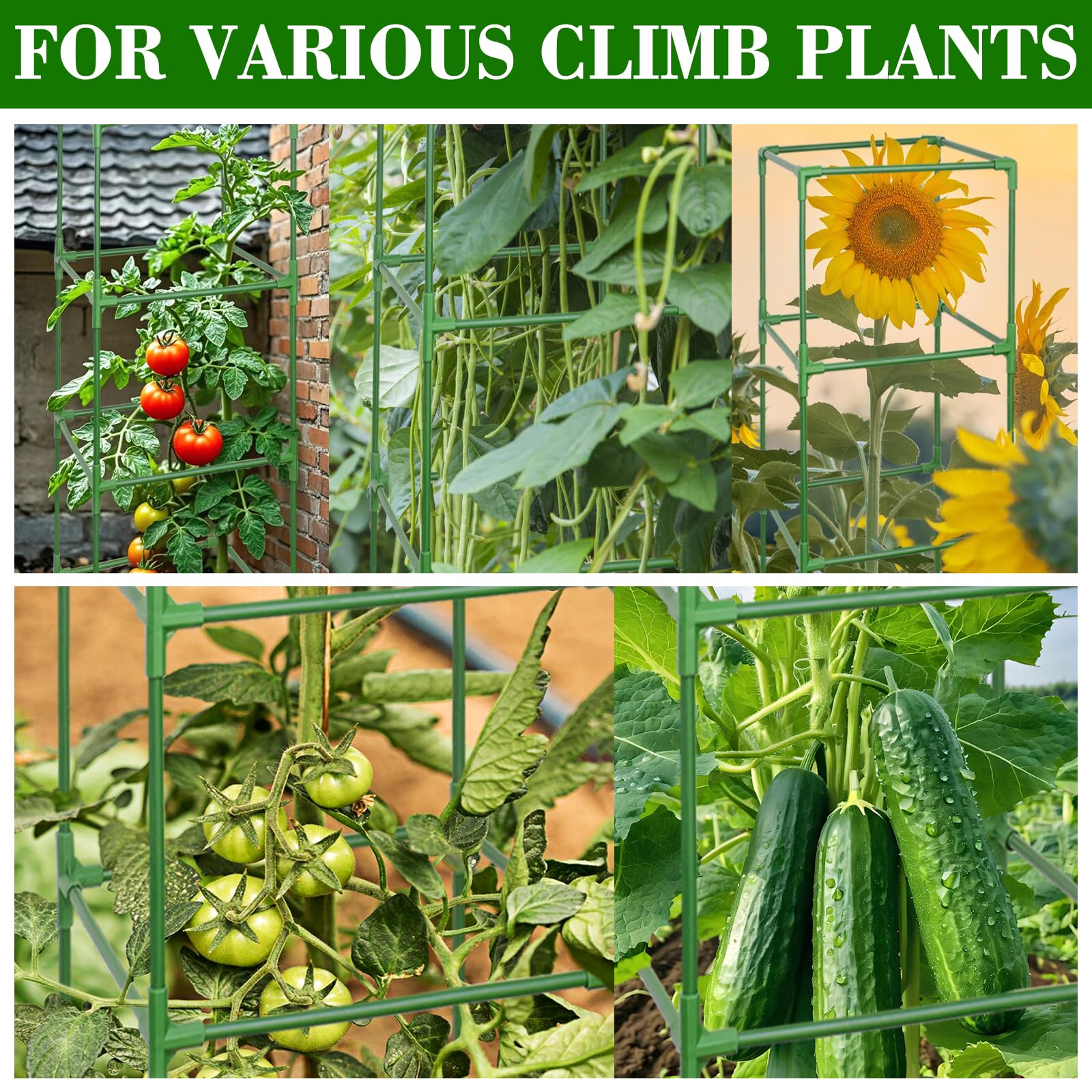 ZeeDix smooth edge close-up protecting stems with plant-safe rounded finishes