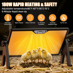 Zelvia brooder plate LED display showing set temperature for monitoring
