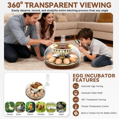 ZEMIRO CHARGE removable egg tray outside unit for quick cleanup and flexible egg arrangement