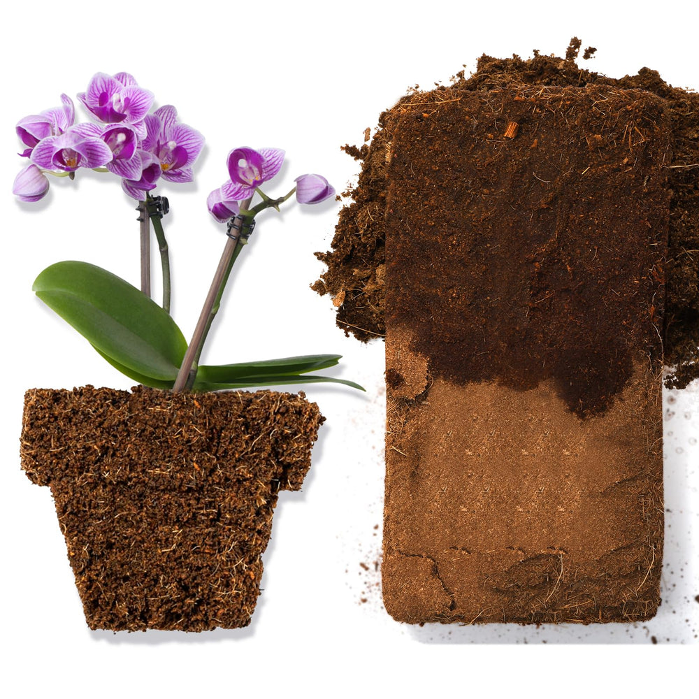 ZENFUN being mixed into potting soil demonstrating improved drainage benefit