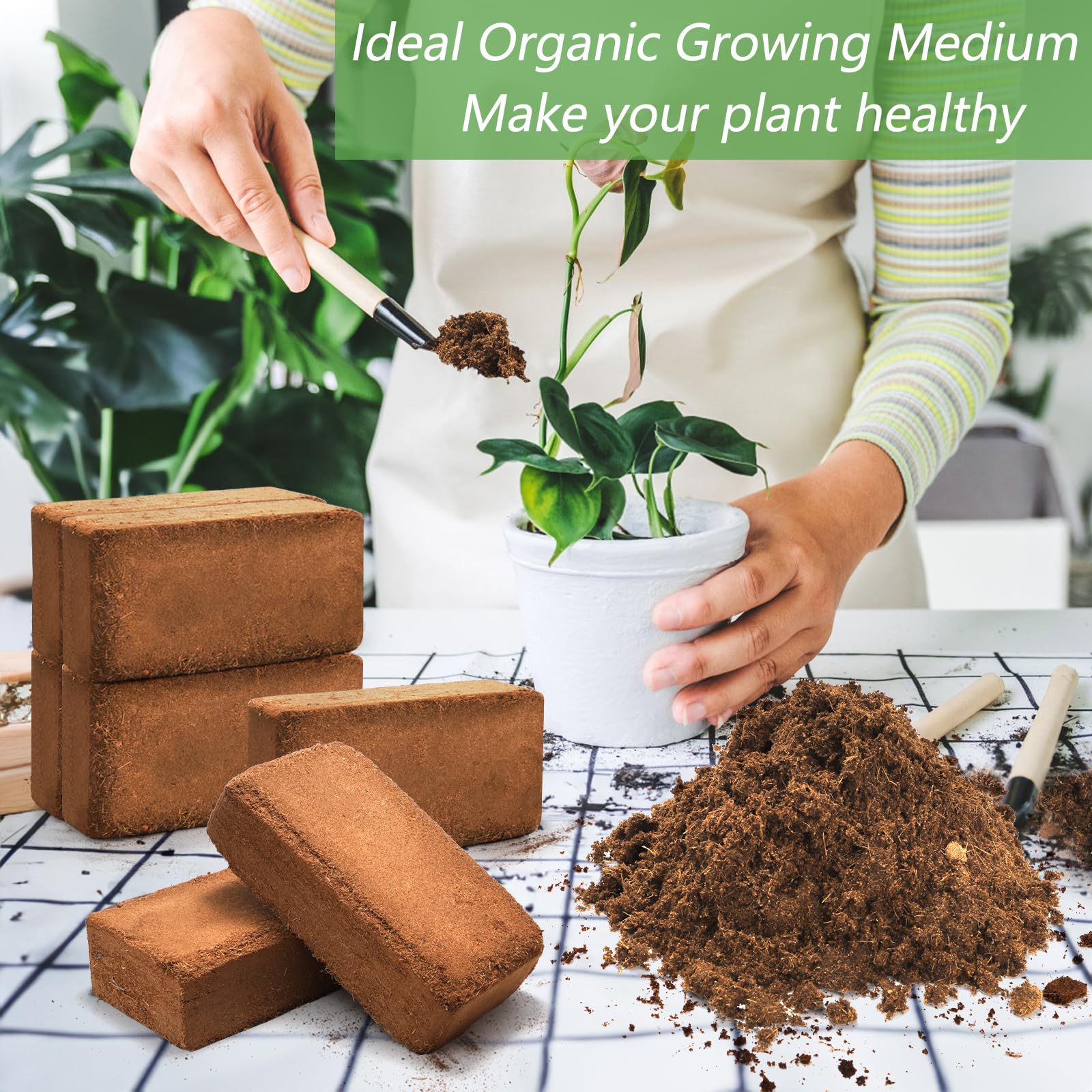 ZENFUN seed trays filled with expanded coir for clean consistent germination