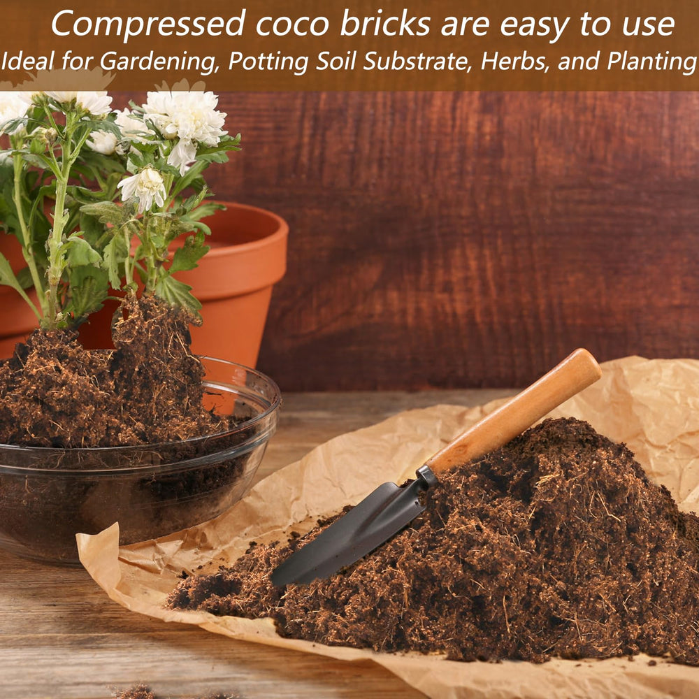 ZENFUN potted succulent using coir showing aeration and root support benefit