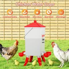ZenxyHoC close-up of dual-layer cup showing removable inner cup for easy cleaning