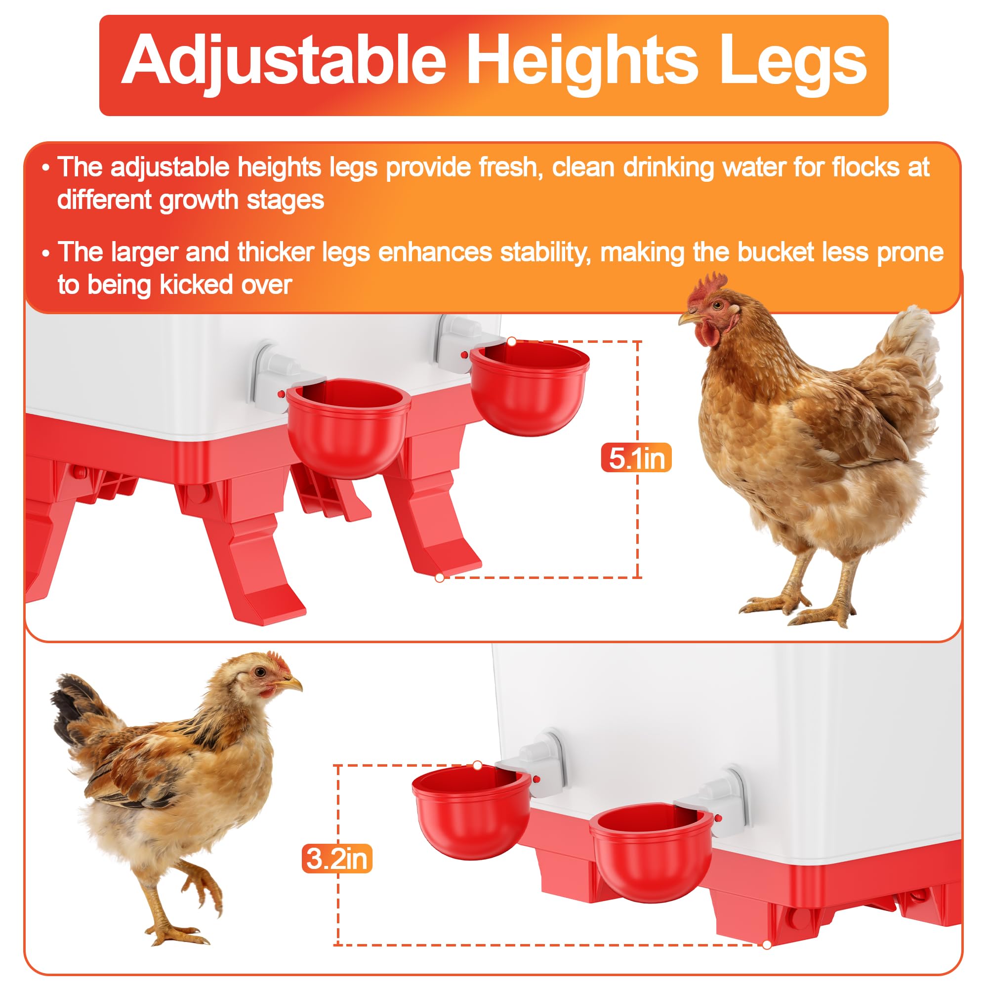 ZenxyHoC in-coop use with chickens using cups ensuring easy access to water